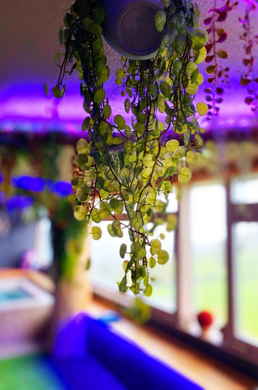 Hôtel Restaurant Les Remparts- Salers - Cantal - SPA & Bien être